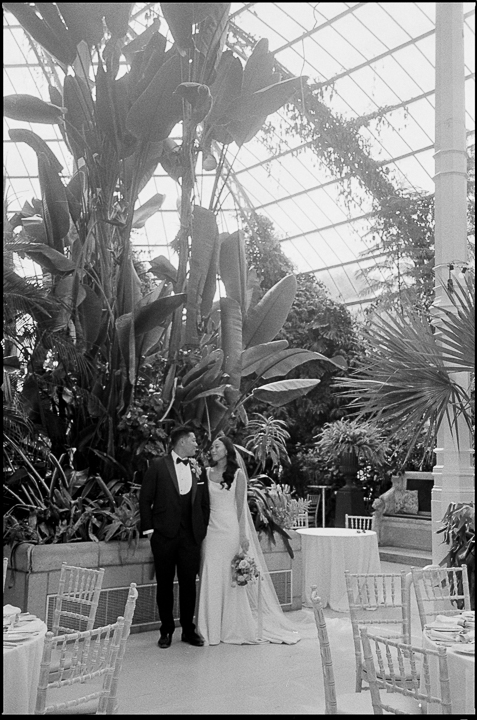 SEFTON PALM HOUSE WEDDING