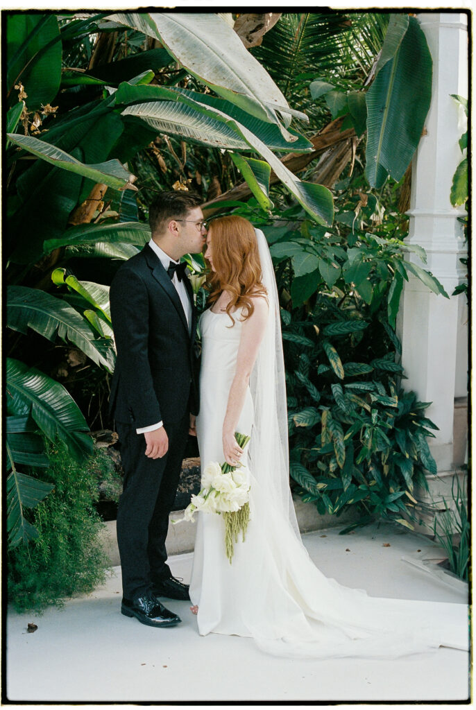 Bride & Groom at the Palm House captured on film 